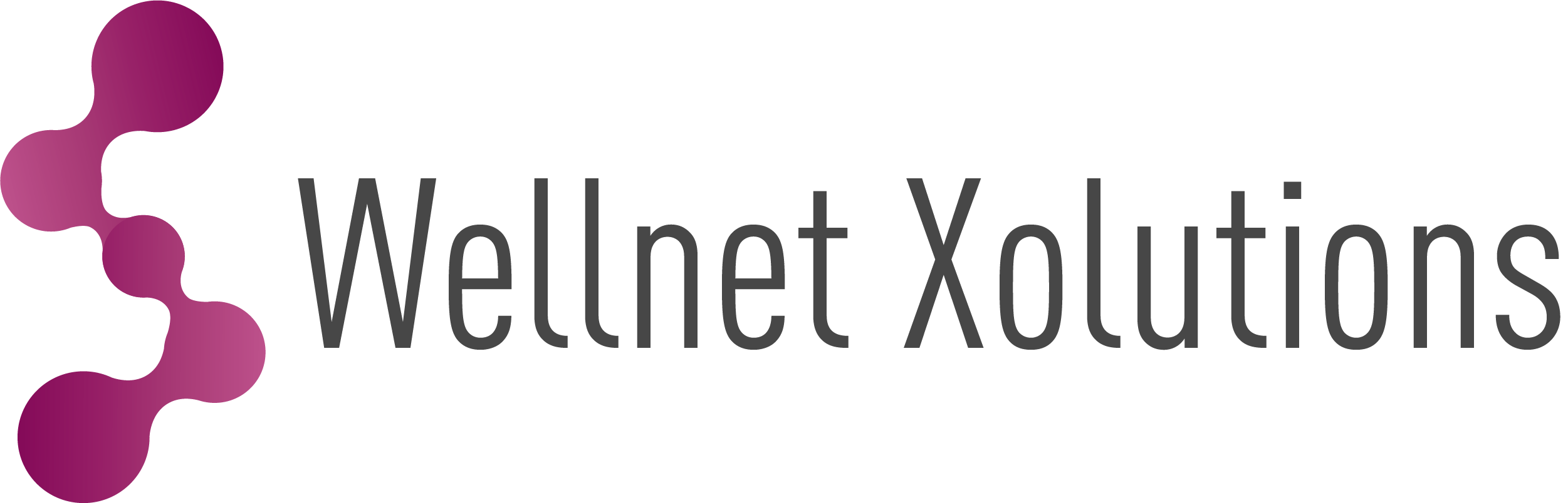 Wellnet Xolutions Logo (1)